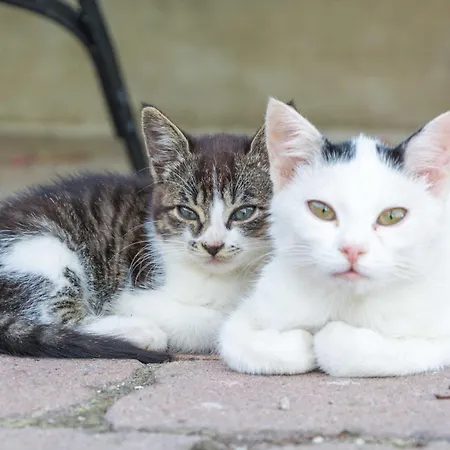 ファームステイ Heimhilgerhof *